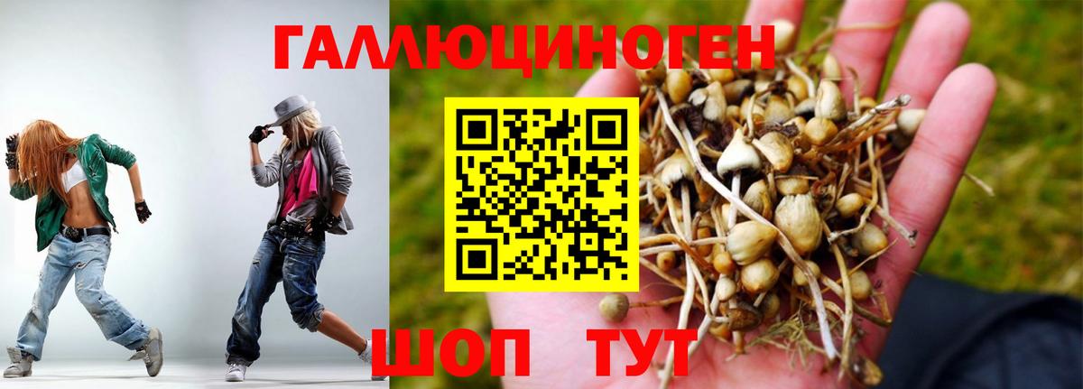 Псилоцибиновые грибы прущие грибы  Псилоцибиновые грибы мухоморы  Вход с VPN  Обнинск 